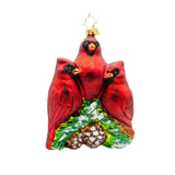 Christopher Radko 205 NEW Cardinal Garden Greetings Ornament
