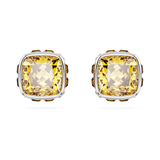Swarovski 2024 NEW Birthstone November Stud Yellow Earrings