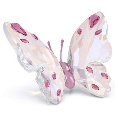 Swarovski 2025 NEW Idyllia Butterfly