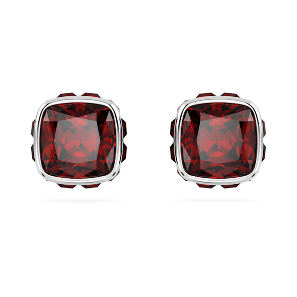 Swarovski 2024 NEW Birthstone Stud January Earrings
