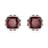 Swarovski 2024 NEW Birthstone Stud January Earrings