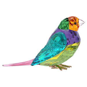 Swarovski 2024 SCS Idyllia Gouldian Finch, Small