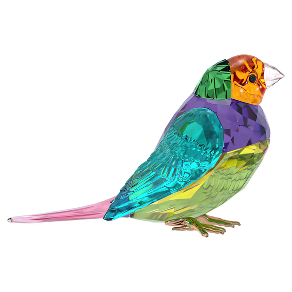 Swarovski 2024 SCS Idyllia Gouldian Finch, Small