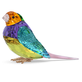 Swarovski 2024 SCS Idyllia Gouldian Finch, Small