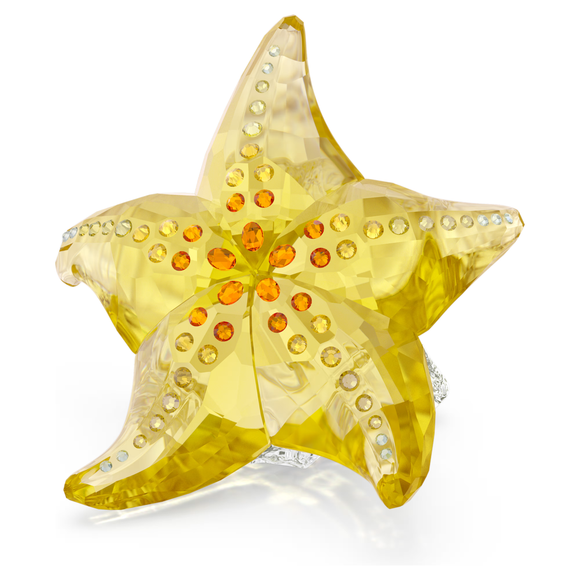 Swarovski 2025 NEW SCS Idyllia Starfish